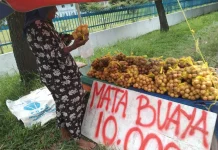 Menjajakan Buah Mata Buaya, Halimah Tekun Berjualan Demi Kebutuhan Hidup