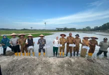 Wali Kota Tanjungbalai Tanam Padi Perdana di Sawah Baru 43 Hektare