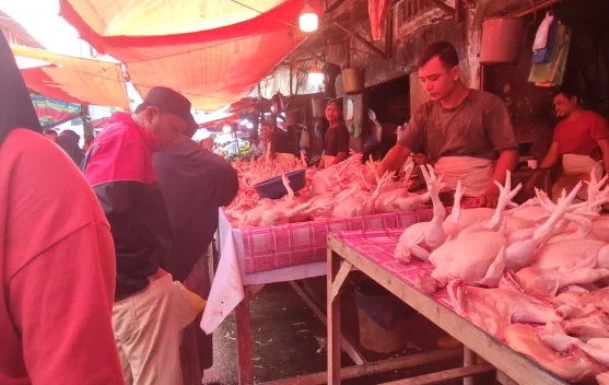 Harga Ayam di Sumut Tembus Rp50 Ribu per Kg
