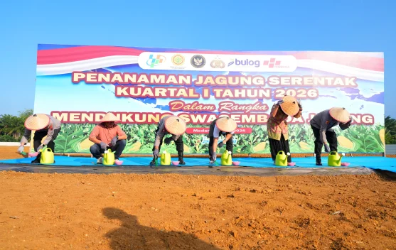 Penanaman Jagung Serentak Kwartal 1, Dukung Ketahanan Pangan Nasional