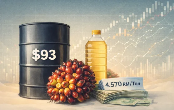 Harga Minyak Goreng Curah Naik, imbas Dari Kenaikan Harga Minyak Dunia