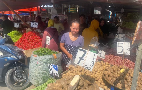 Pasokan Pangan Sumut Cukup Hingga H+3