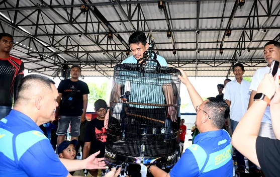 Bobby Nasution Dorong Sumut Jadi Pusat Kicau Mania Nasional