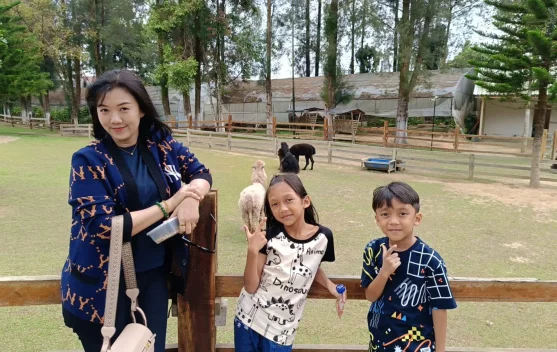 Mengenal Alpaca, Satwa Menggemaskan Asal Pegunungan Andes