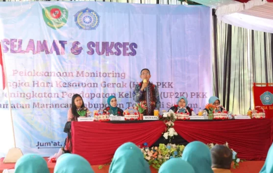Pemkab Tapanuli Selatan Sambut Tim Monitoring TP PKK Sumut