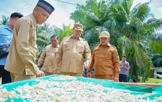 Bupati Batu Bara Tinjau Potensi Perikanan dan UMKM Desa Sentang