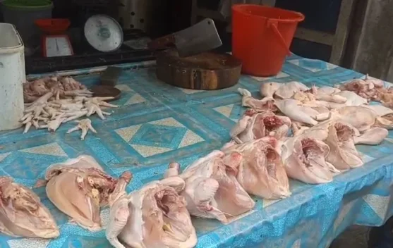 Harga Ayam Turun, Omzet Pedagang Meningkat