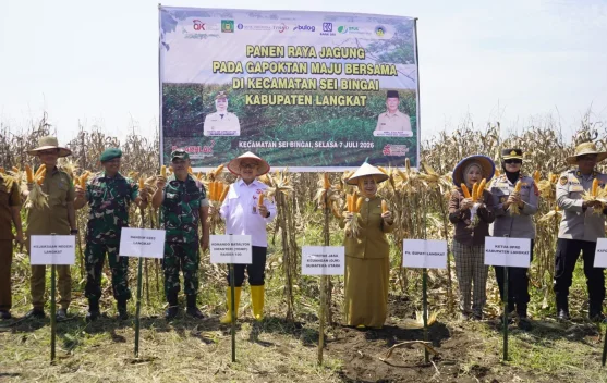 OJK Sumut Perkuat Akses Pembiayaan Sektor Pertanian Jagung di Langkat