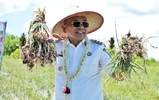 Bupati Simalungun Serahkan Alsintan kepada Petani