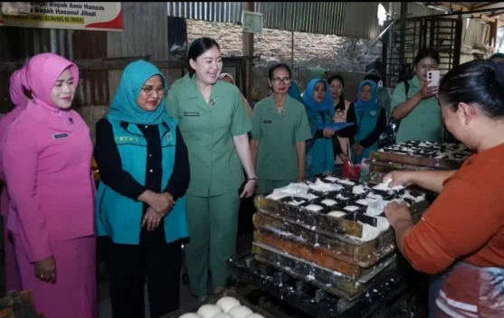 Kunjungi Kampung Tahu, TP PKK Kota Binjai Dorong Penguatan UMKM Lokal
