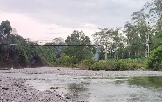 Ekowisata Tangkahan Banyak Diminati Wisatawan