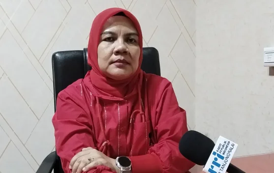 Periode Januari hingga Agustus, DBD di Tanjungbalai Capai 79 Kasus