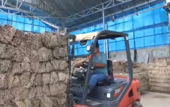 Tren Impor Vietnam Buka Peluang Lidi Indonesia