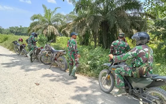Kodim 0209/Labuhanbatu Gencarkan Mitigasi Karhutla