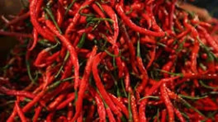 Cek Harga Cabe di Pasar Wamanggu Merauke
