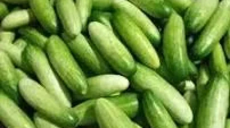 Cek Harga Ketimun di Pasar Wamanggu Merauke