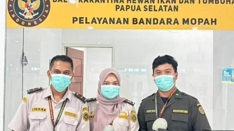 Karantina Gagalkan Penyelundupan Telur Kasuari di Bandara Mopah