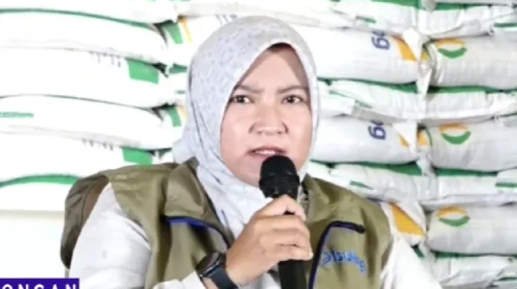 Bulog Merauke Pastikan Stok Beras Aman hingga Tujuh Bulan