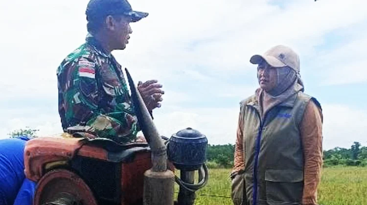 Pastikan Stok Beras Aman, Kabulog dan Babinsa Turun Lapangan