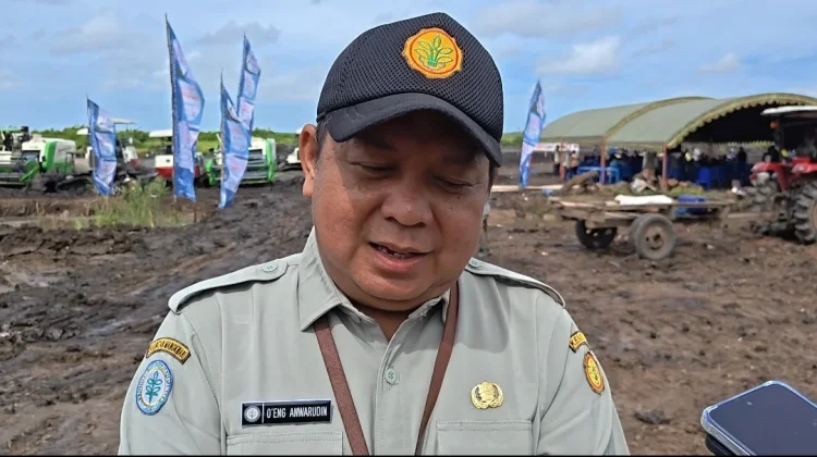 Ratusan Hektar Lahan Sawah di Merauke Mulai Ditanam Serentak