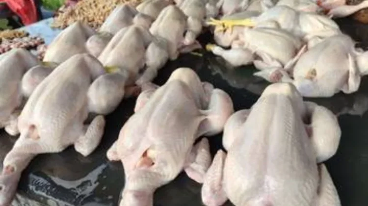 Harga Daging Ayam Masih Stabil di Pasar Wamanggu