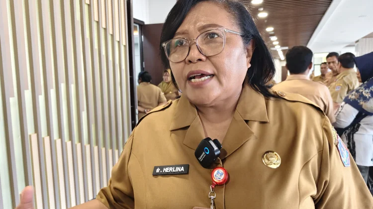 Pemprov Papua Selatan Segera MoU Bersama Tujuh Rumah Sakit Jejaring