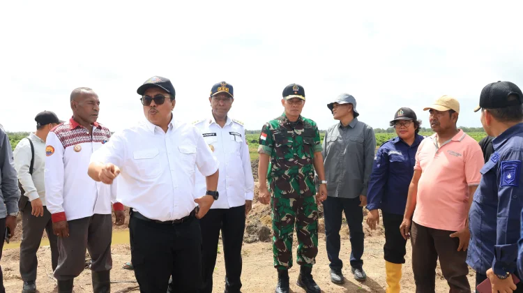 Gubernur Apolo-Ditjen Lahan dan Irigasi Tinjau Cetak Sawah di Waninggap Kai