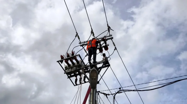 PLN Merauke Lakukan Pemeliharaan Jaringan Listrik, Ketahui Jadwalnya