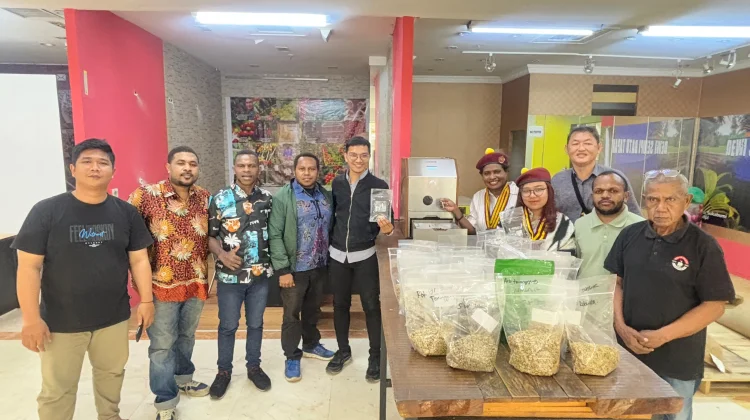 PMKRI dan Kampus Kopi Luncurkan Produk "Mace Papua"
