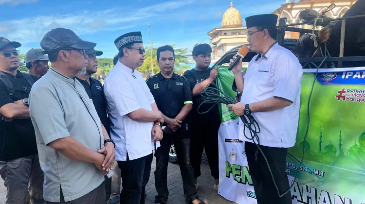 Gubernur Apolo Serahkan 17 Ekor Sapi Qurban Kepada Umat Muslim
