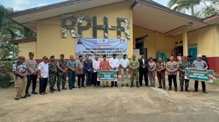 Hewan Kurban Papua Selatan Tahun 2026 Berasal dari Peternak Lokal Merauke