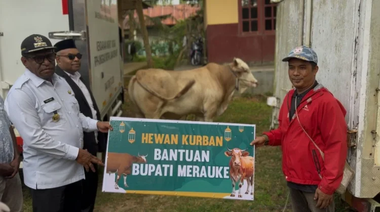 Bupati Merauke: Hewan Kurban Jadi Wujud Pengorbanan dan Hasil Kerja Keras Peternak