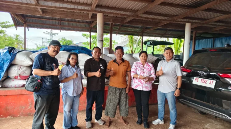 Miliki Kendaraan Roda Empat, Bukti Keberhasilan Petani Padi Merauke