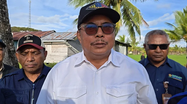 Dirjen Lahan dan Irigasi Pantau Tiga Lokasi Sawah Petani Merauke