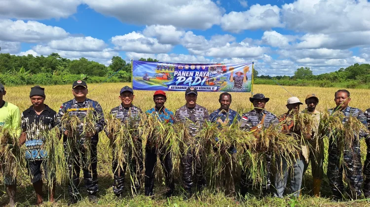 Kodaeral XI Lakukan Panen Raya Perkuat Ketahanan Pangan Nasional