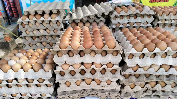 Harga Telur Ayam di Pasar Wamanggu