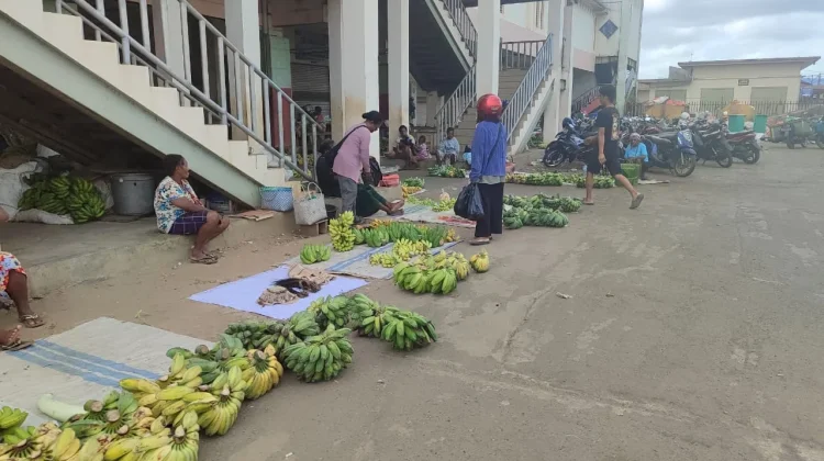 Inilah Harga Bapok Hasil Pertanian Di Merauke
