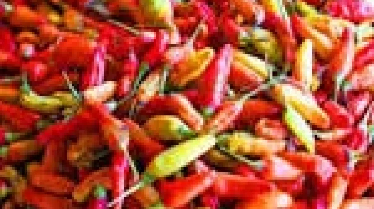 Cek Harga Cabe Di Pasar Wamanggu Merauke