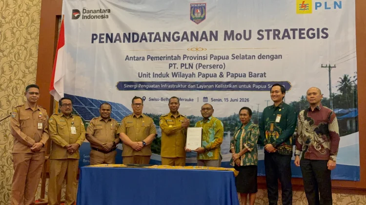 Pemprov Papua Selatan Perkuat Sinergi Layanan Kelistrikan
