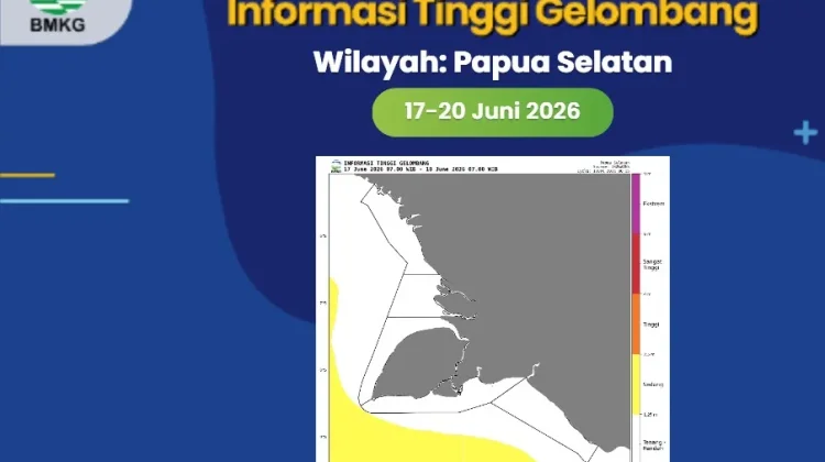 Gelombang Sedang hingga Tinggi disertai Udara Dingin Terjadi Di Papsel