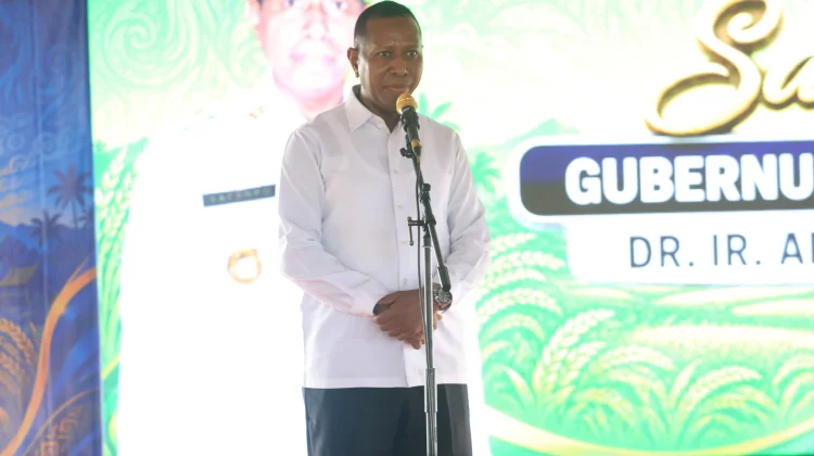 Pemprov Papua Selatan Siap Dukung Program Ketahanan Pangan Nasional di Merauke