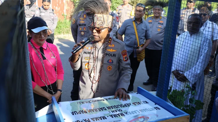 Bantuan Renovasi Lapak untuk Mama-Mama Papua