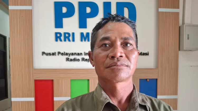 Kekeringan Ancam Hasil Panen Padi