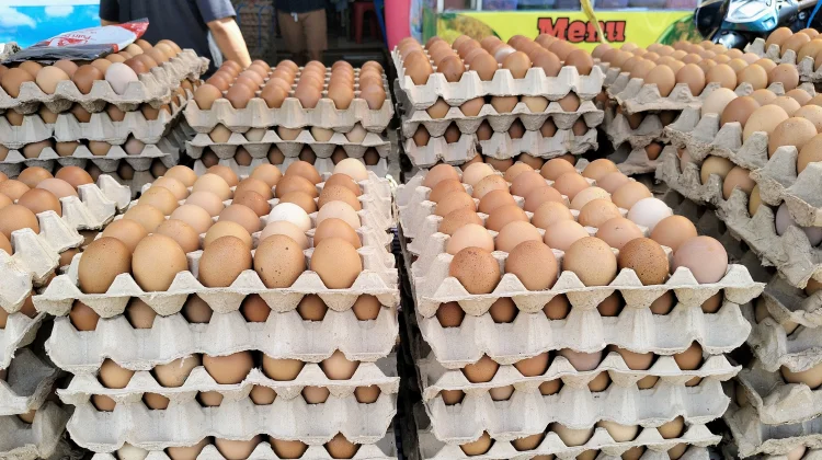 Harga Telur Ayam di Pasar Wamanggu Merauke
