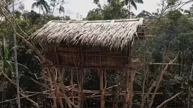 Menembus Rimba Papua Demi Data