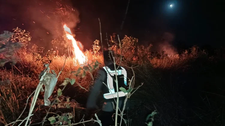 Kebakaran Lahan di Kurik Sukses Dipadamkan