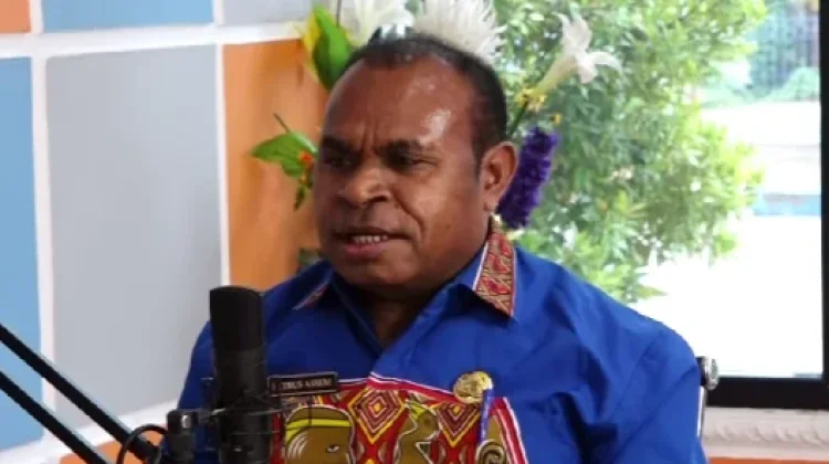 Potensi Sumber Daya Alam Jadi Daya Tarik Investasi di Papua Selatan