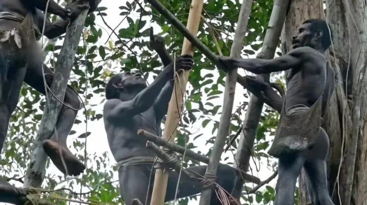 Ketika CKG Menembus Belantara Papua