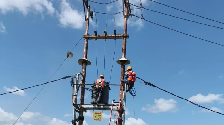 PLN ULP Merauke Kota, Lakukan Pemeliharaan Jaringan Berkala