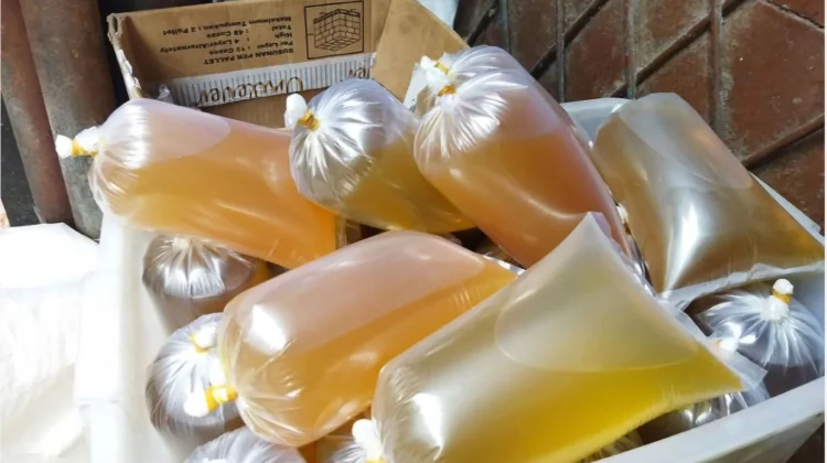Segini Harga Minyak Goreng di Pasar Kabupaten Merauke